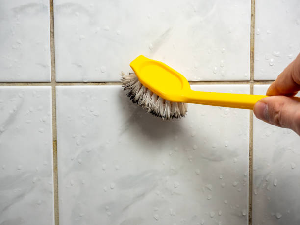 Best Mold Removal and Inspection  in Whitaker, PA