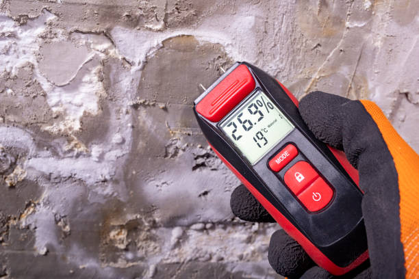 Office Mold Removal Services in Whitaker, PA